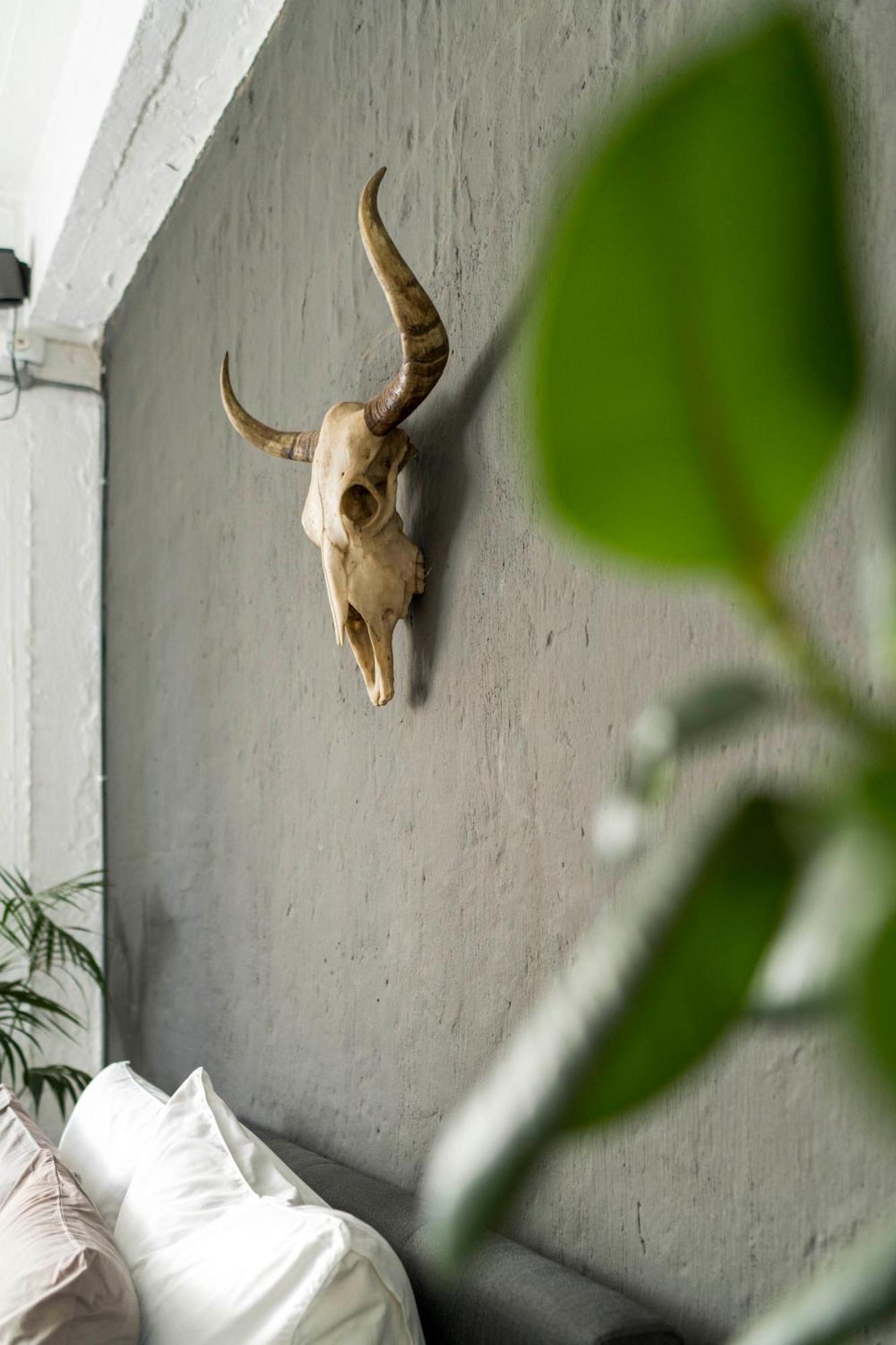 Urban Fox Penthouse By Curiocity Joanesburgo Exterior foto